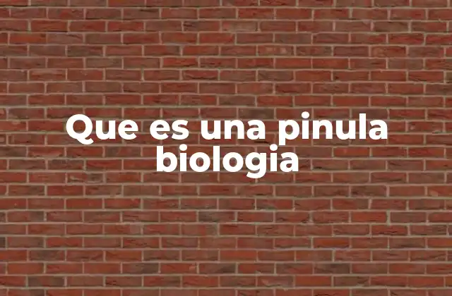 Que es una Pinula Biologia