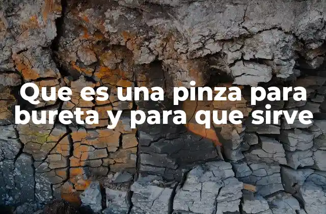 Que es una Pinza para Bureta y para que Sirve
