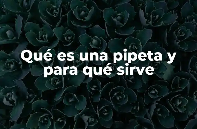 Qué es una Pipeta y para Qué Sirve