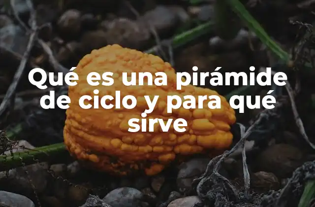 Qué es una Pirámide de Ciclo y para Qué Sirve