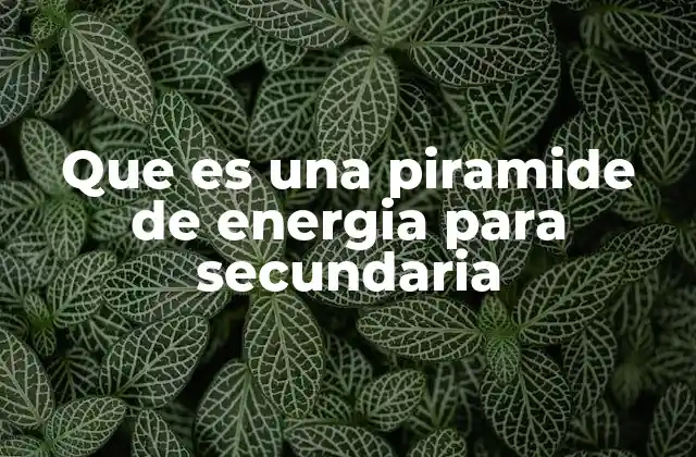 Que es una Piramide de Energia para Secundaria