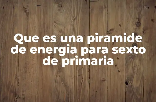 Que es una Piramide de Energia para Sexto de Primaria