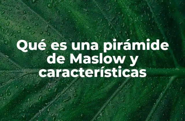 Qué es una Pirámide de Maslow y Características