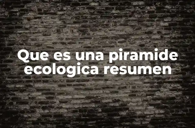 Que es una Piramide Ecologica Resumen