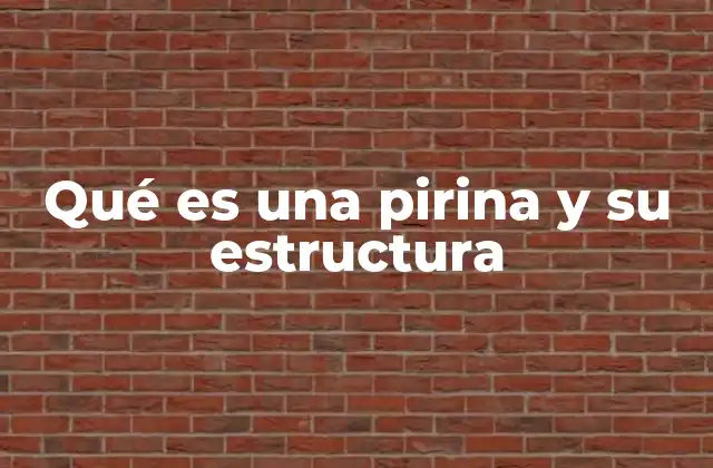 Qué es una Pirina y Su Estructura