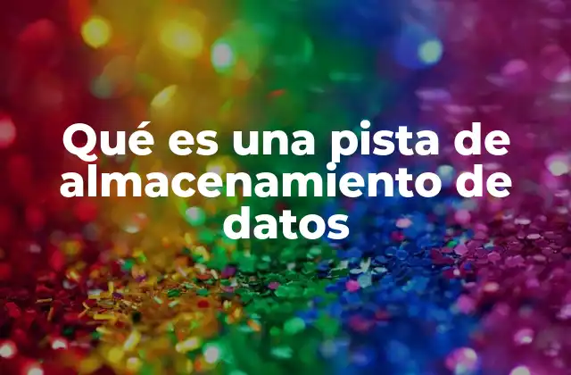 Qué es una Pista de Almacenamiento de Datos