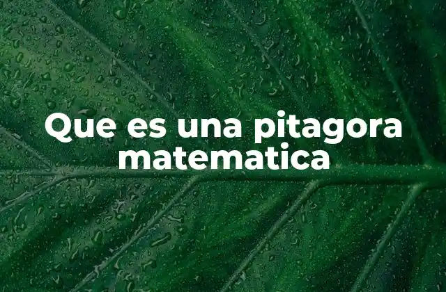 Que es una Pitagora Matematica
