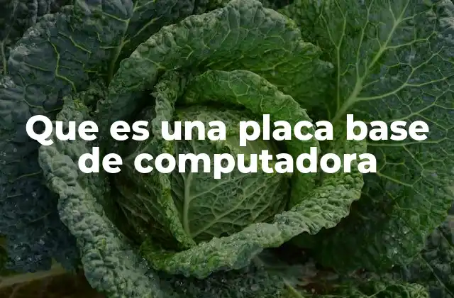 Que es una Placa Base de Computadora