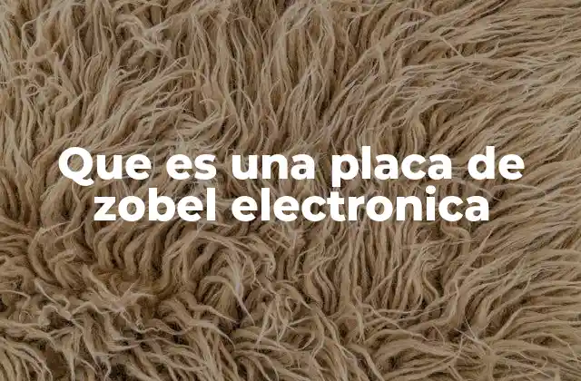 Que es una Placa de Zobel Electronica