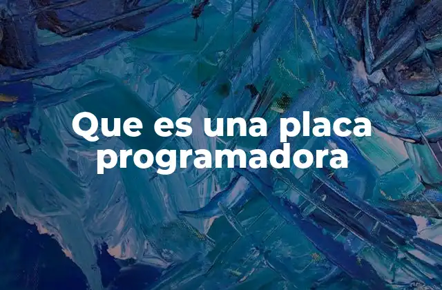 Que es una Placa Programadora