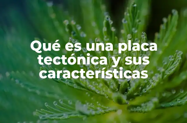 Qué es una Placa Tectónica y Sus Características