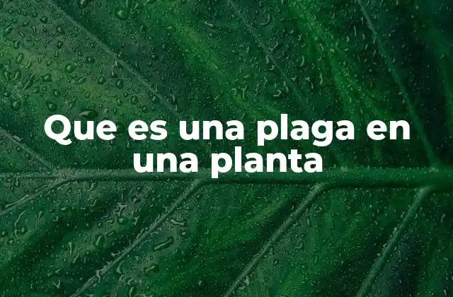 Que es una Plaga en una Planta