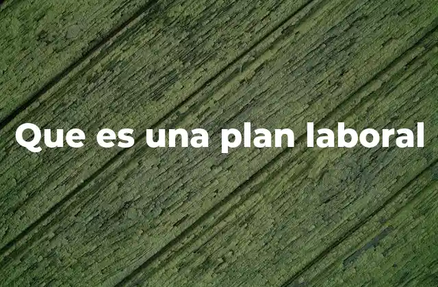 Que es una Plan Laboral 2 La importancia de estructurar actividades laborales