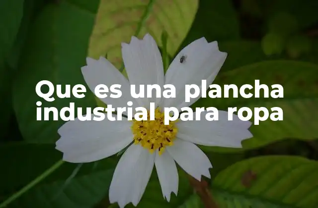 Que es una Plancha Industrial para Ropa