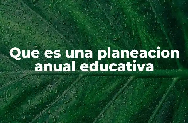 Que es una Planeacion Anual Educativa
