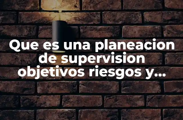 Que es una Planeacion de Supervision Objetivos Riesgos y Metas