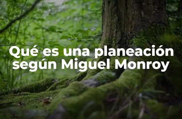 Qué es una Planeación según Miguel Monroy