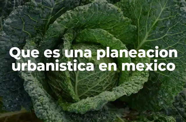 Que es una Planeacion Urbanistica en Mexico