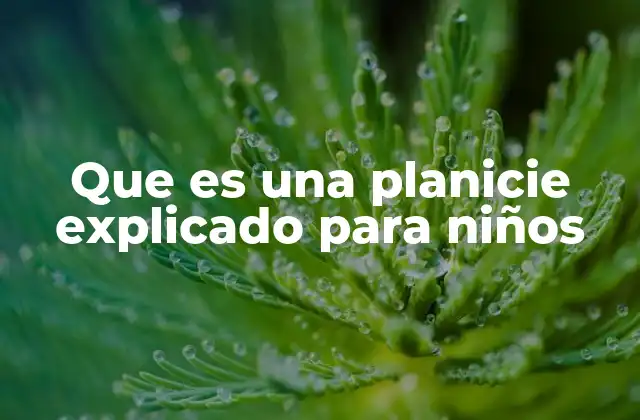 Que es una Planicie Explicado para Niños