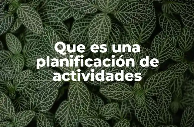 Que es una Planificación de Actividades