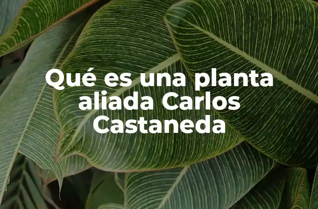Qué es una Planta Aliada Carlos Castaneda