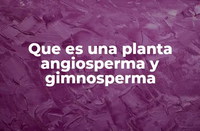 Características generales de las plantas vasculares