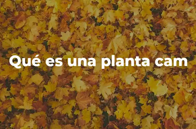 Qué es una Planta Cam