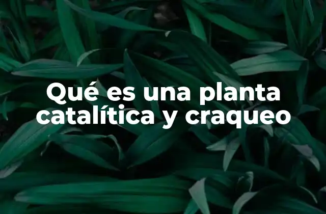Qué es una Planta Catalítica y Craqueo