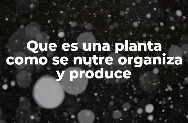 Que es una Planta como Se Nutre Organiza y Produce