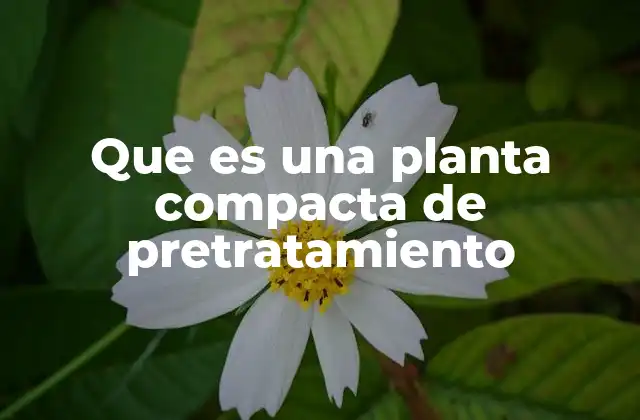 Que es una Planta Compacta de Pretratamiento 2 Sistemas integrados para el tratamiento de agua