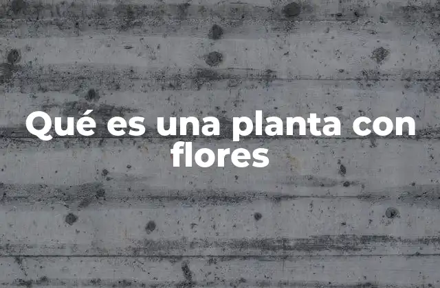 Qué es una Planta con Flores