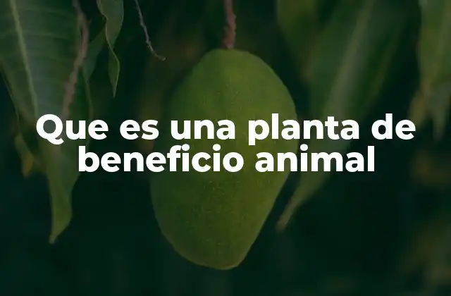 Que es una Planta de Beneficio Animal