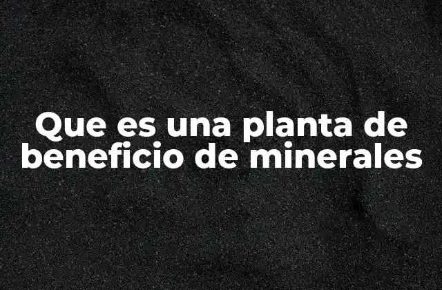 Que es una Planta de Beneficio de Minerales
