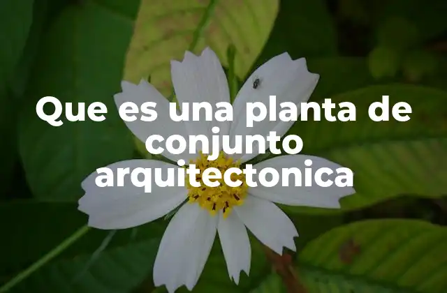 Que es una Planta de Conjunto Arquitectonica