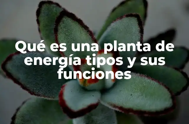 Qué es una Planta de Energía Tipos y Sus Funciones