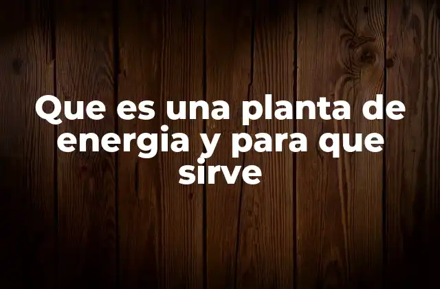 Que es una Planta de Energia y para que Sirve