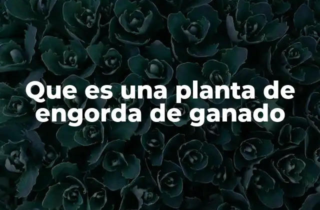 Que es una Planta de Engorda de Ganado