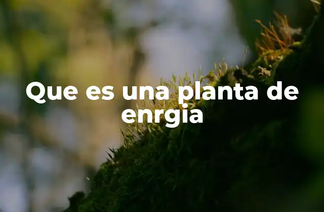 La importancia de las centrales eléctricas en la infraestructura moderna