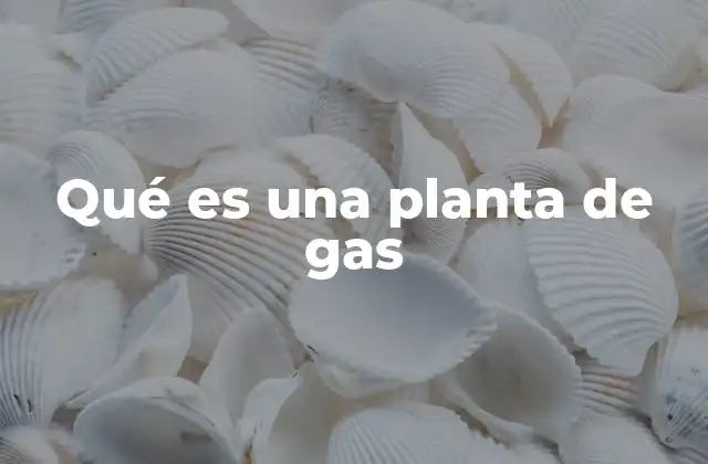 Qué es una Planta de Gas