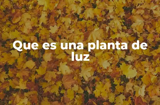 Que es una Planta de Luz