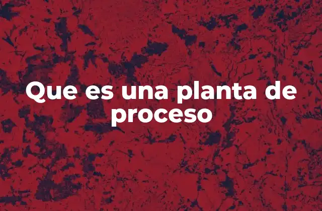 Que es una Planta de Proceso