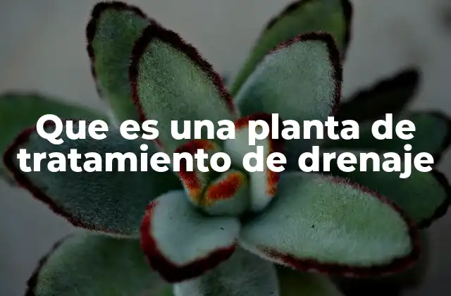 Que es una Planta de Tratamiento de Drenaje