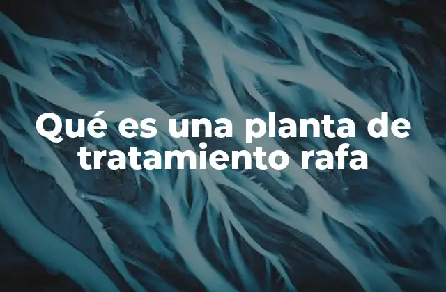 Qué es una Planta de Tratamiento Rafa