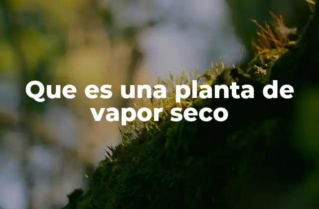 Que es una Planta de Vapor Seco