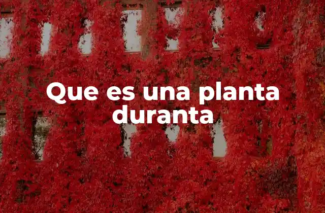 Que es una Planta Duranta