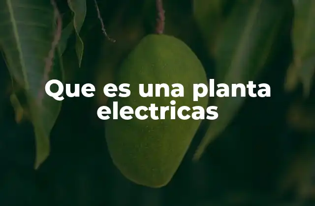 Que es una Planta Electricas