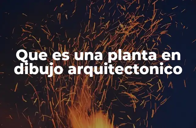 Que es una Planta en Dibujo Arquitectonico