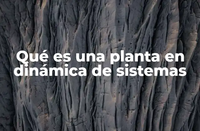 Qué es una Planta en Dinámica de Sistemas 2 El papel de la planta en el sistema de control