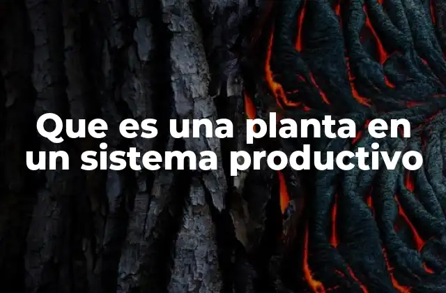 Que es una Planta en un Sistema Productivo