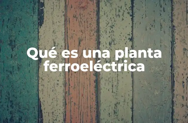 Qué es una Planta Ferroeléctrica